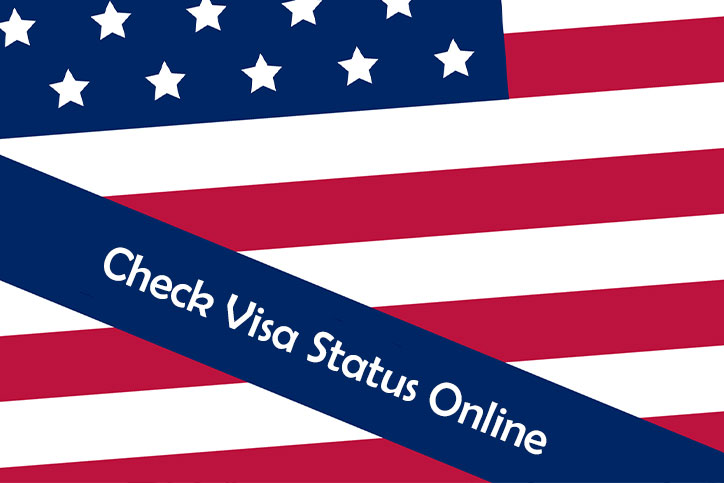 Check Your Visa Status Online