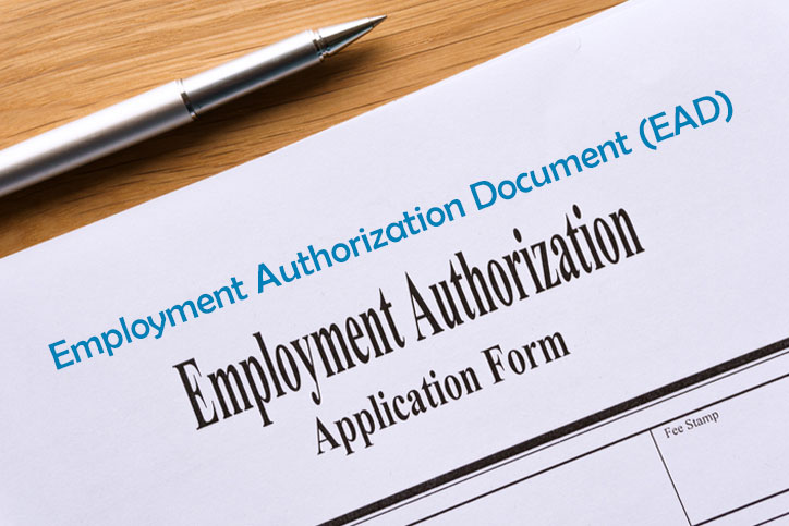 Employment Authorization Document (EAD)