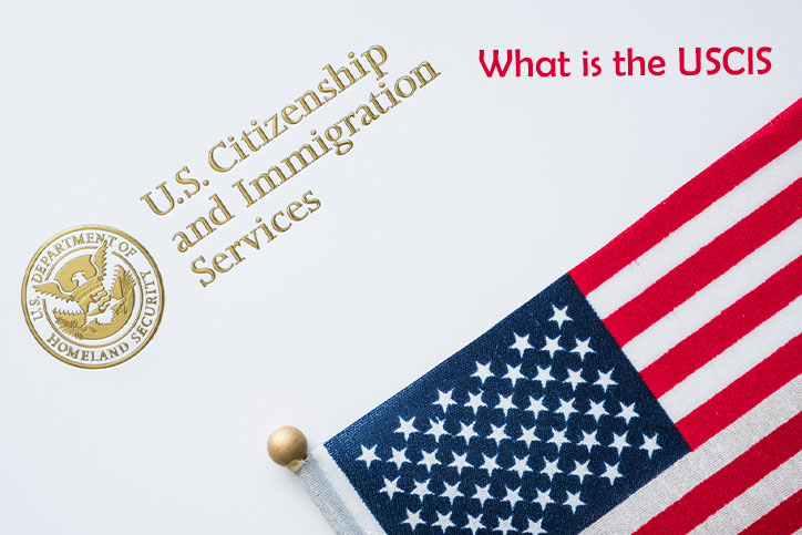 What is the USCIS